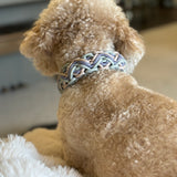Zion Collar