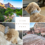 Zion Collar