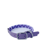 Lavender Fields Collar